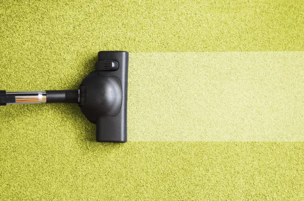 Professional carpet cleaning service